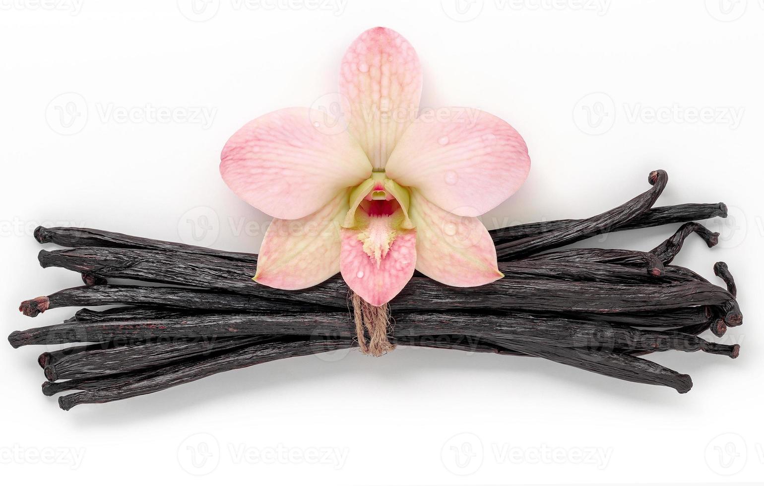 Dried vanilla sticks and orchid flower isolated on white background. photo