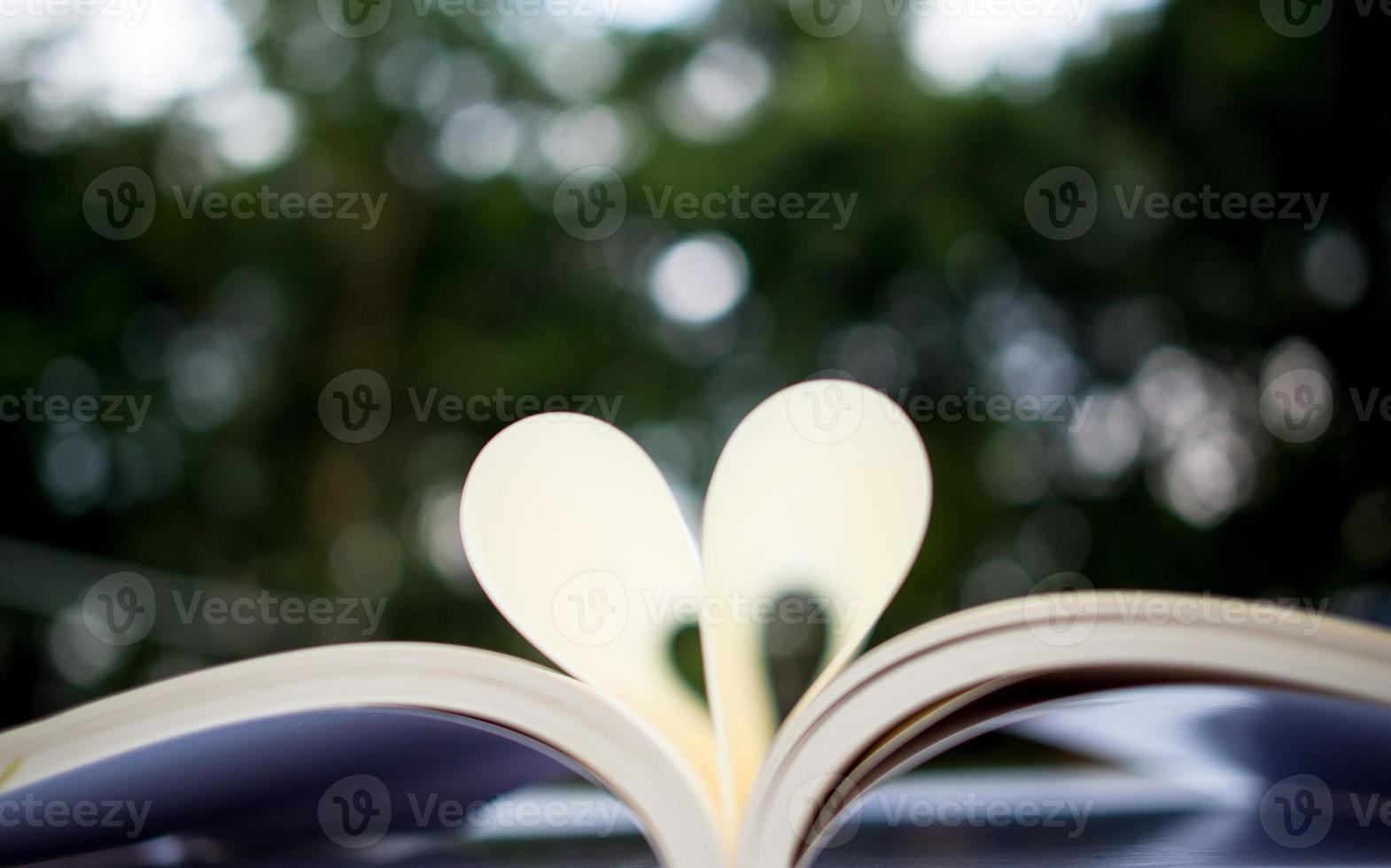 A heart-shaped book is about people who love reading. photo