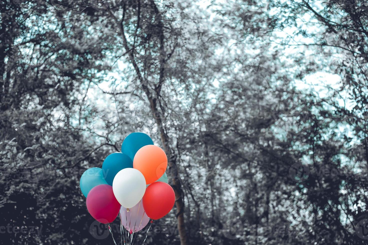 los globos de colores están hechos con filtros, instagram retro, concepto de feliz cumpleaños en verano y bodas. uso de fiestas de luna de miel para fondos, tonos de color, globos antiguos en la naturaleza. foto