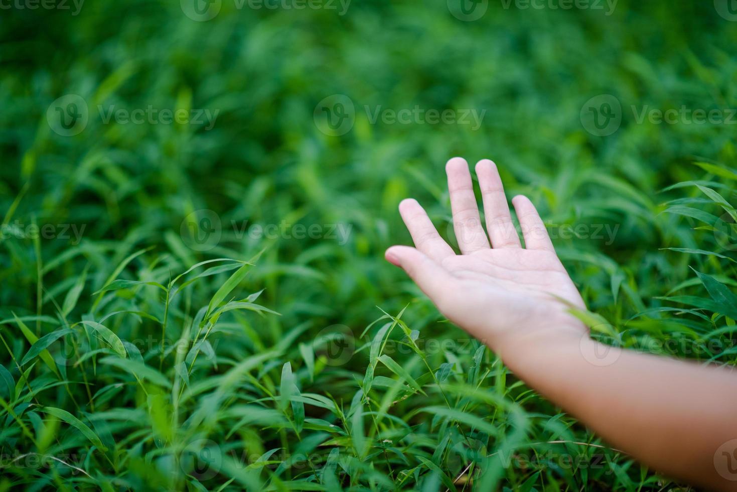 Hands and nature love Bright love Have to give each other Love and beauty in a natural way. photo