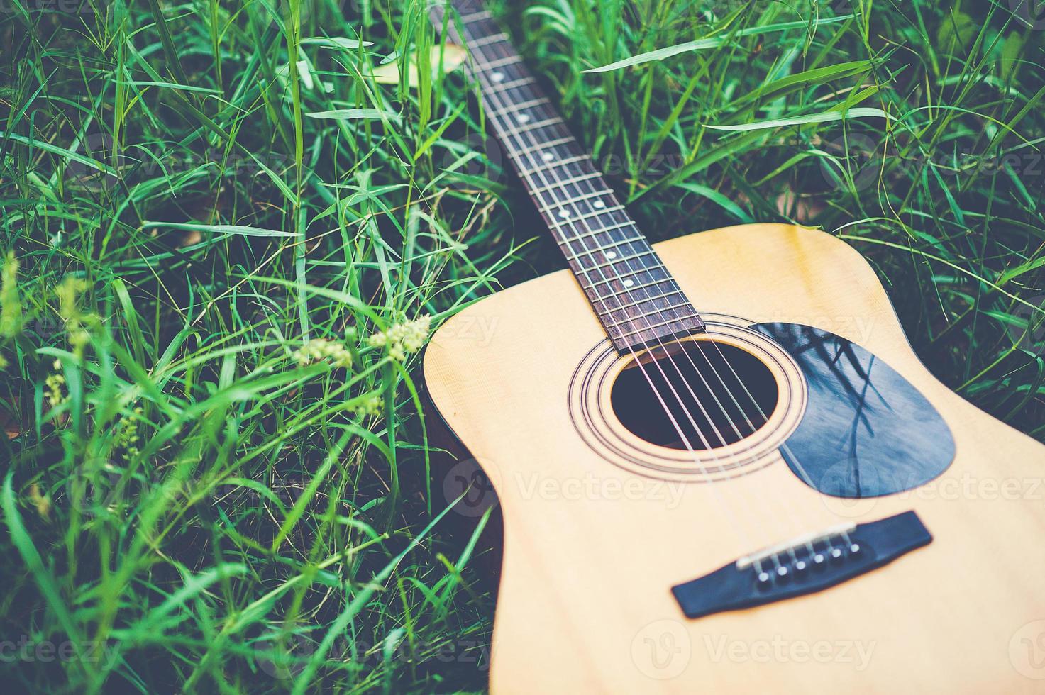 Guitar in the forest Take a guitar to the forest. photo