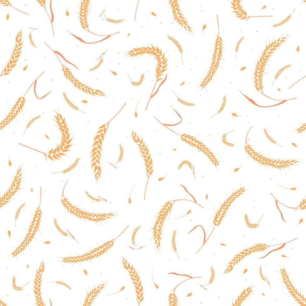 Seamless pattern with whole grain seeds organic, natural ears isolated on white background. vector