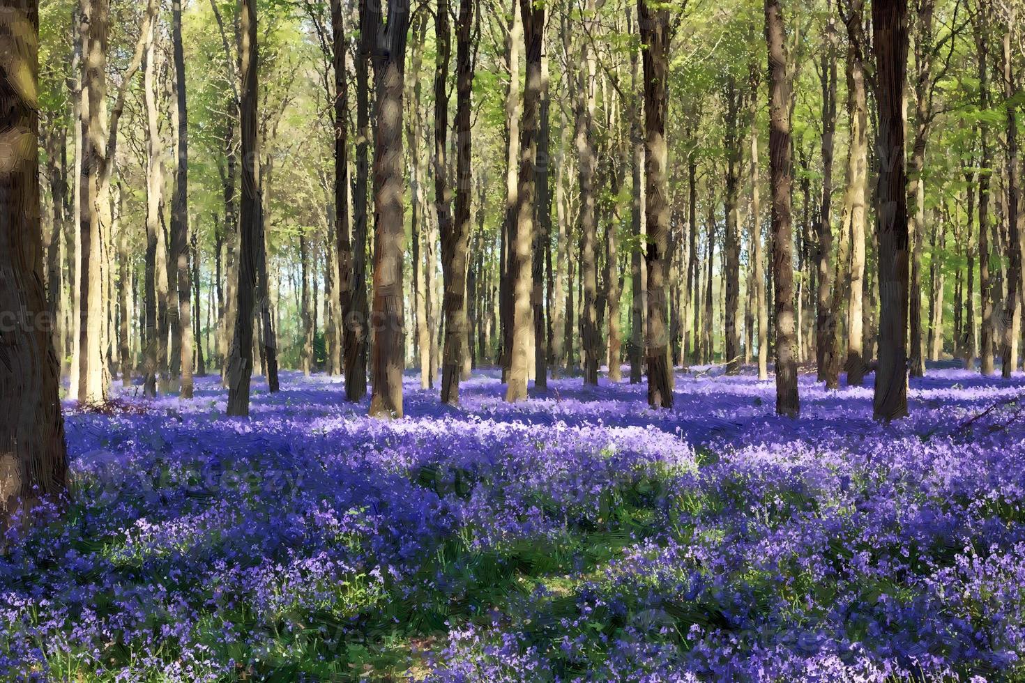 Bluebells in Wepham Woods photo