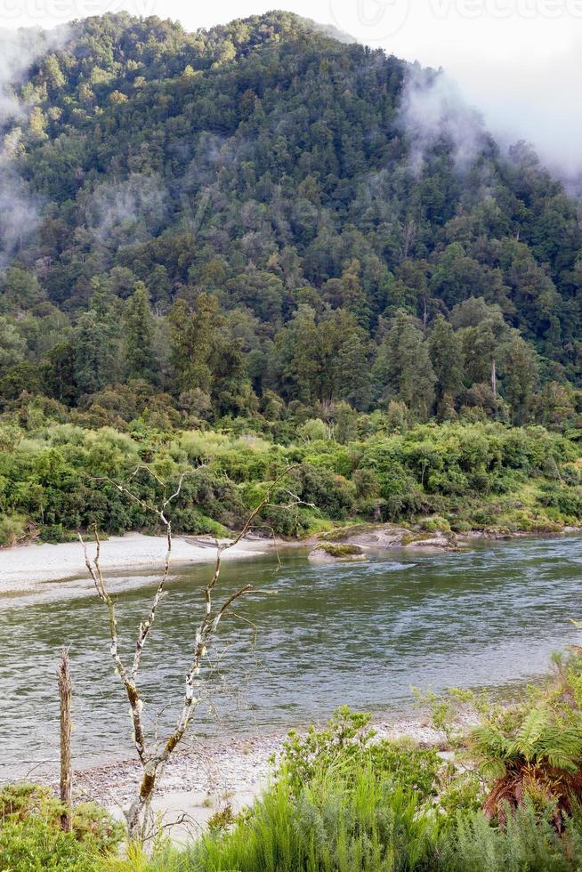 View of the Buller River Valley in New Zealand photo