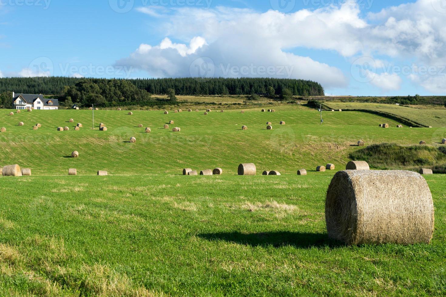 Farm near Culloden photo