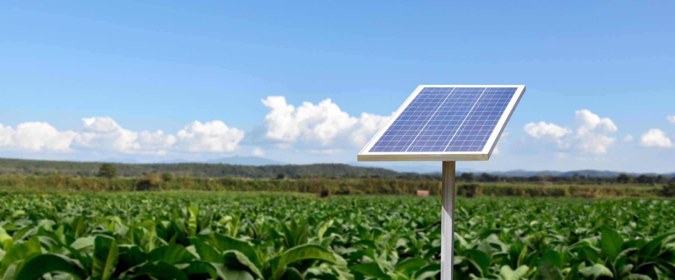 panel fotovoltaico, nueva tecnología para almacenar y utilizar la energía de la naturaleza con la vida humana, la energía sostenible y el concepto de amigo del medio ambiente. foto