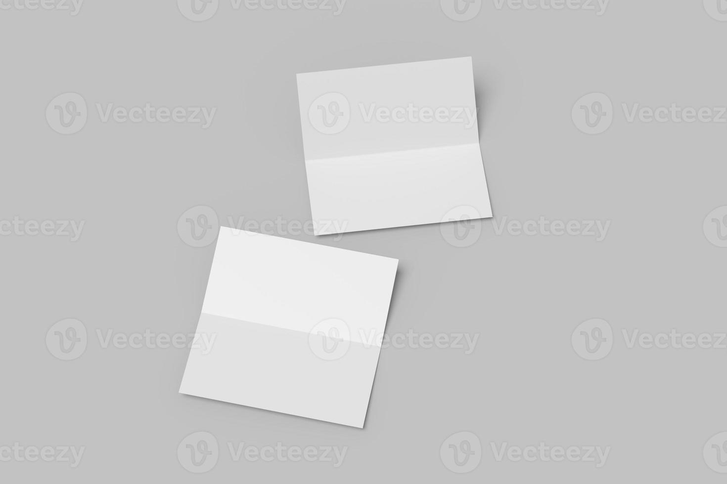 DL FLYER BLANK MOCKUPS photo