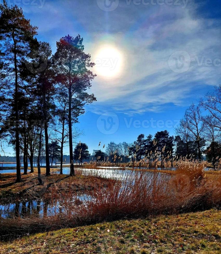 Lake on the morning photo