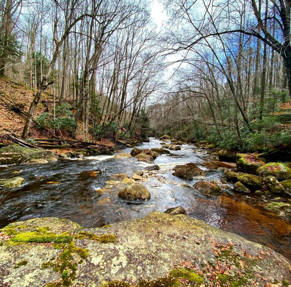 Lake on the river photo