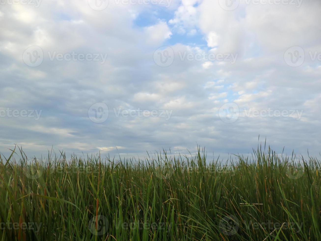 White clouds in the morning photo