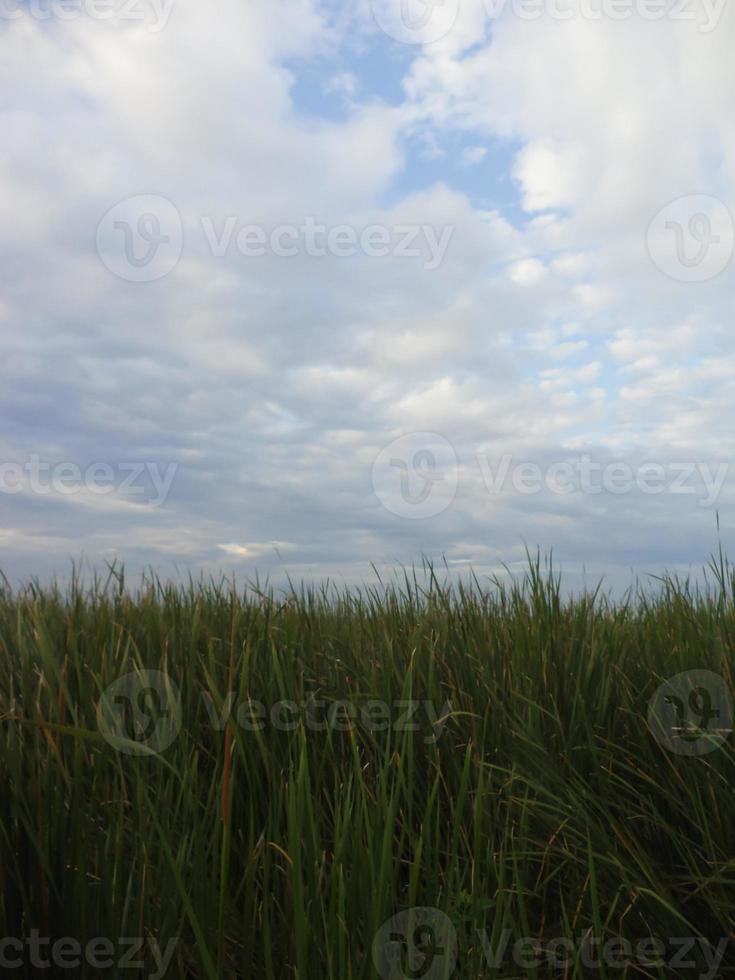 Clouds view in the morning photo
