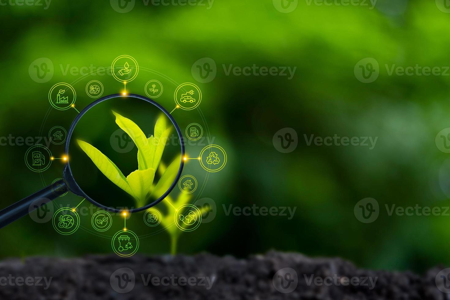 concepto de energía renovable día de la tierra o protección del medio ambiente manos protegen los bosques que crecen en el suelo y ayudan a salvar el mundo. foto