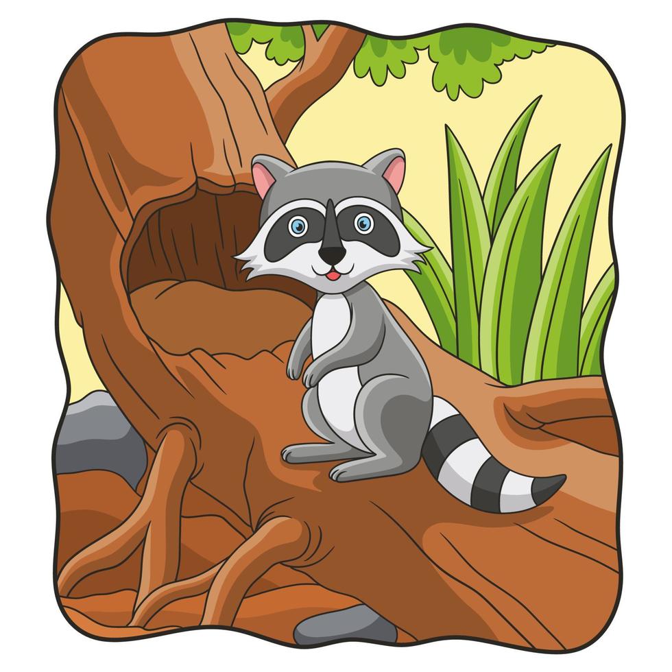 cartoon illustration raccoon standing on a big tree vector