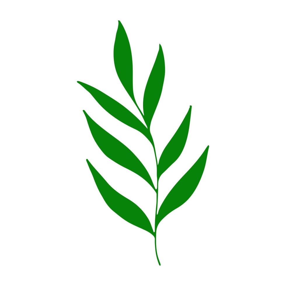 abstract leaves icon. hand drawn in doodle style. vector, simple, silhouette, minimalism. plant, herbarium. vector