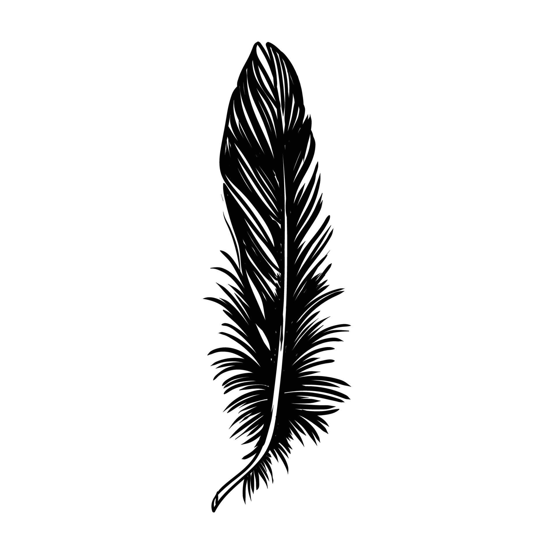 Black Feather Quill 6656837 Vector Art at Vecteezy