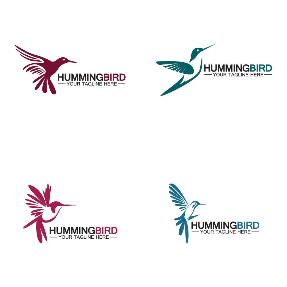 Hummingbird logo design vector template