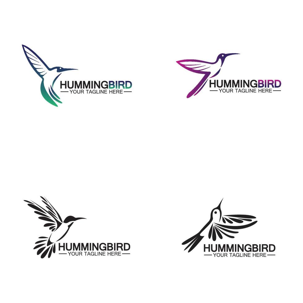 Hummingbird logo design vector template