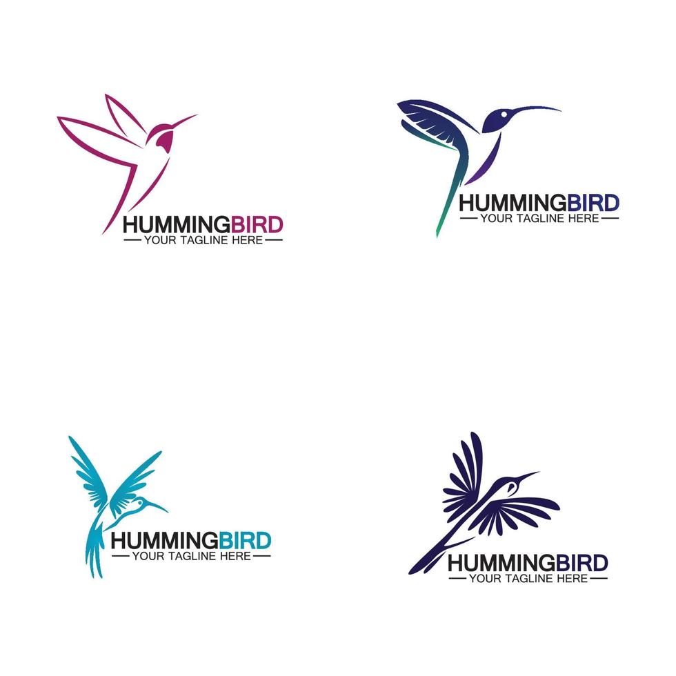 Hummingbird logo design vector template