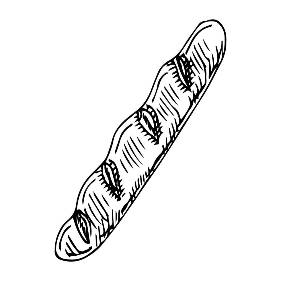 Vector hand drawn doodle sketch baguette bread isolated on white background