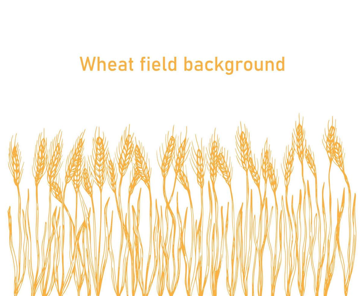 Vector silhouette of wheat. Wheat in a field on a white background