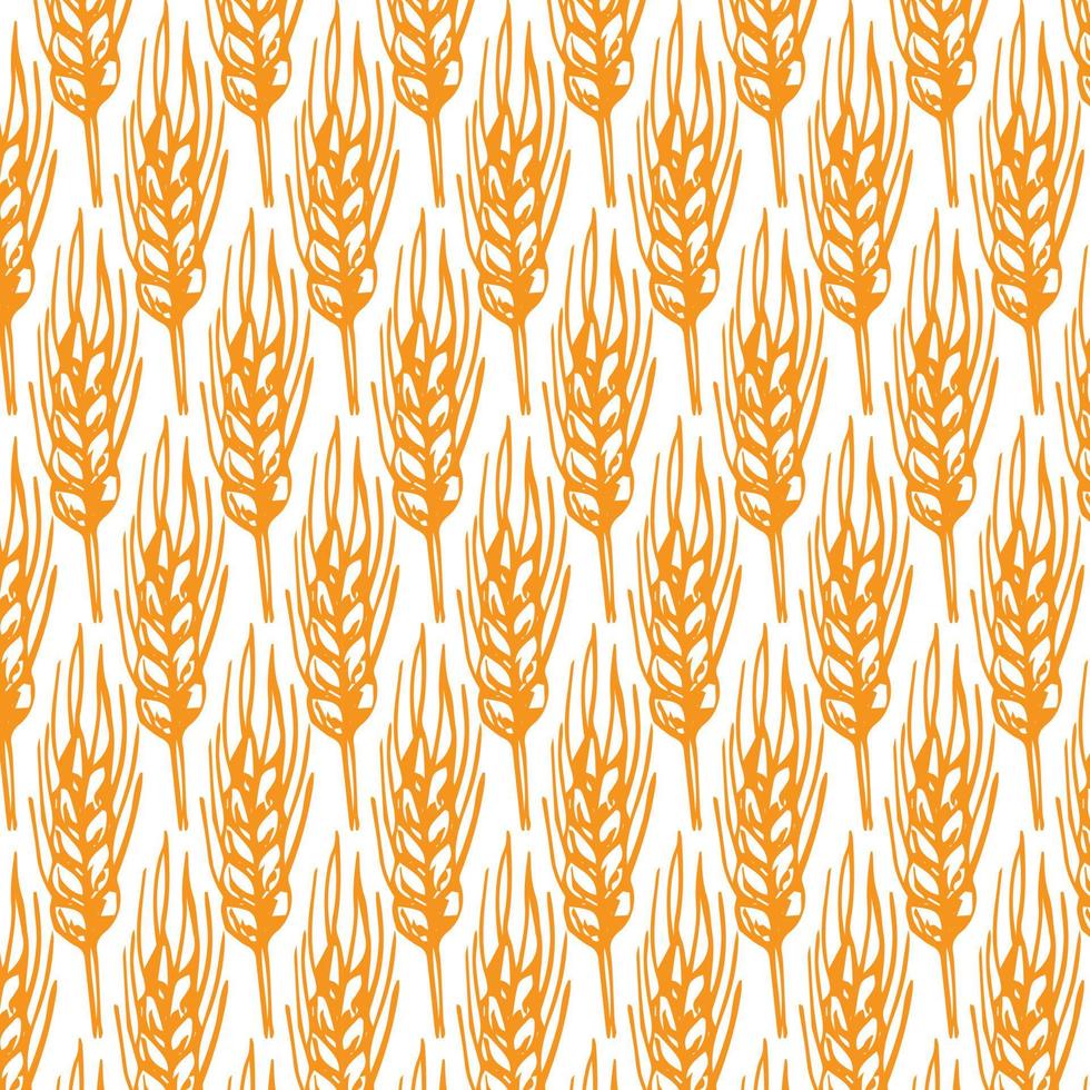 Seamless pattern of wheat ears vector