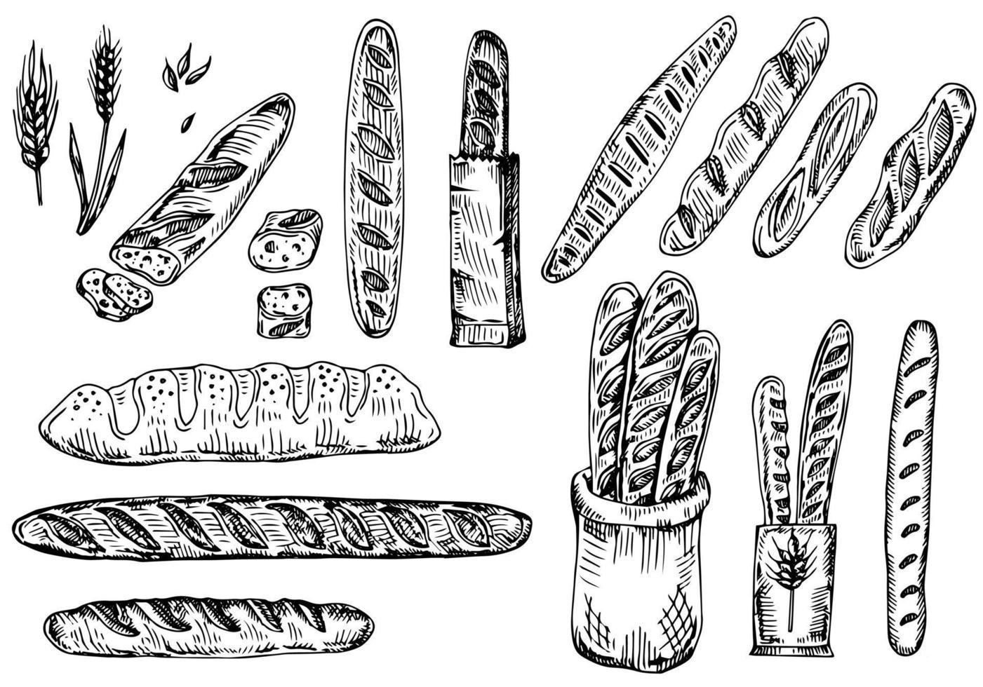 Hand drawn vector illustration of assorted bread French baguette, breaded loaf, slice of white bread. Cartoon doodle style isolated on white background