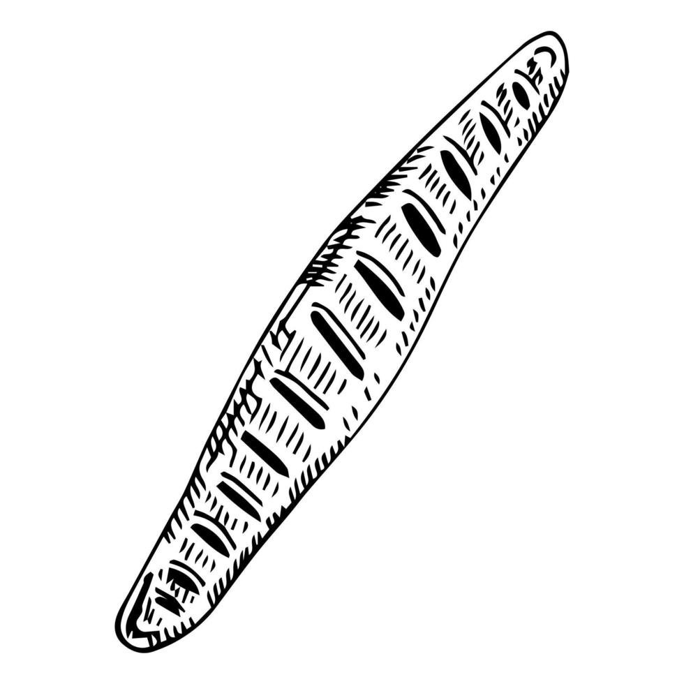 Vector hand drawn doodle sketch baguette bread isolated on white background