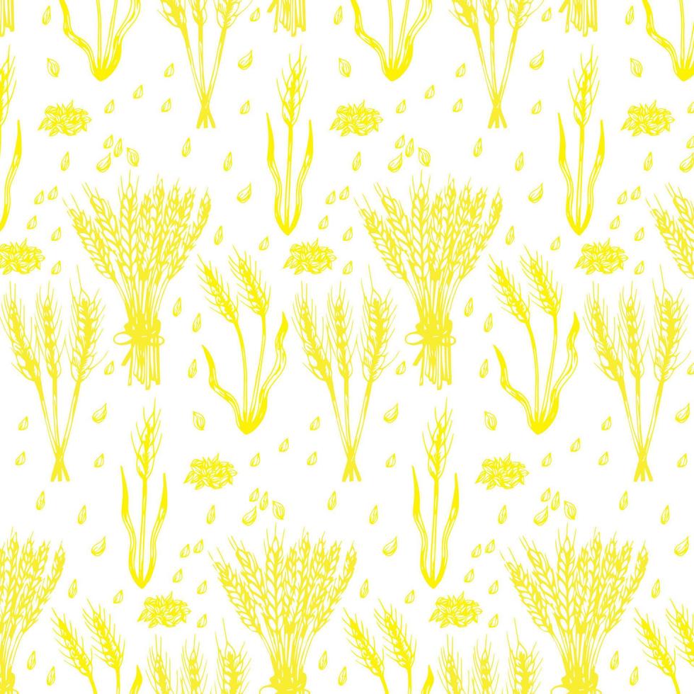 Vector seamless pattern illustration of ears of wheat. Malt beer background. Autumn harvest.
