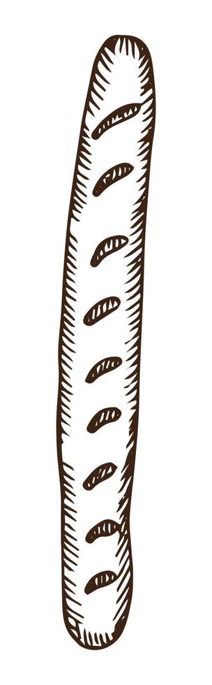 baguette doodle, cartoon food drawing of long bread isolated on white background. Vector illustration of hand drawn sketch of French pasty loaf.
