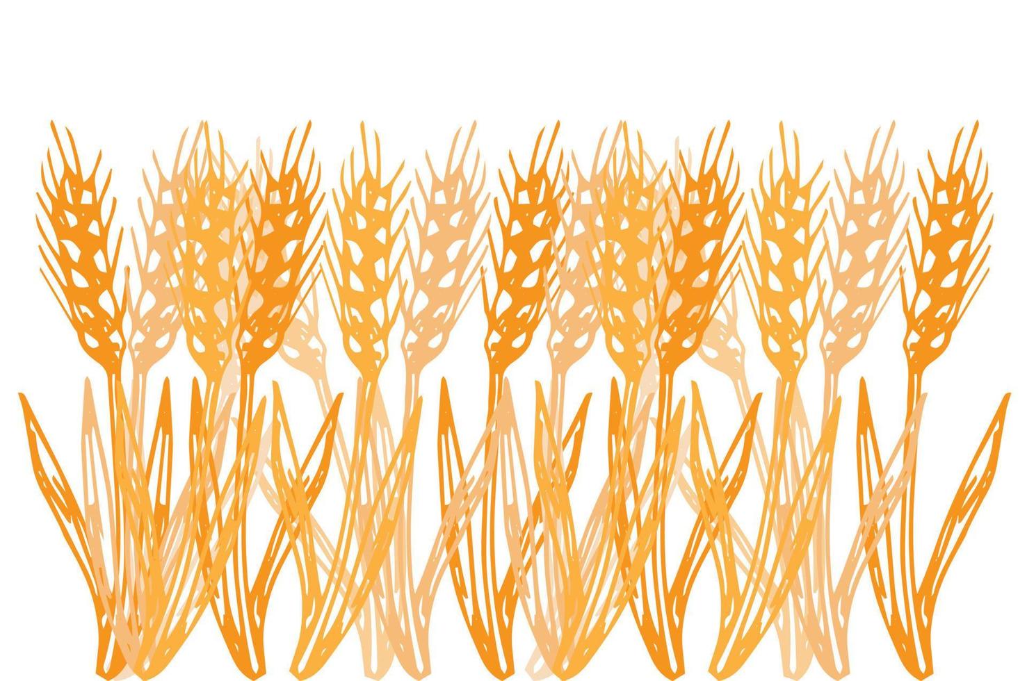 Wheat field background. Orange silhouettes isolated on white. Vector. vector