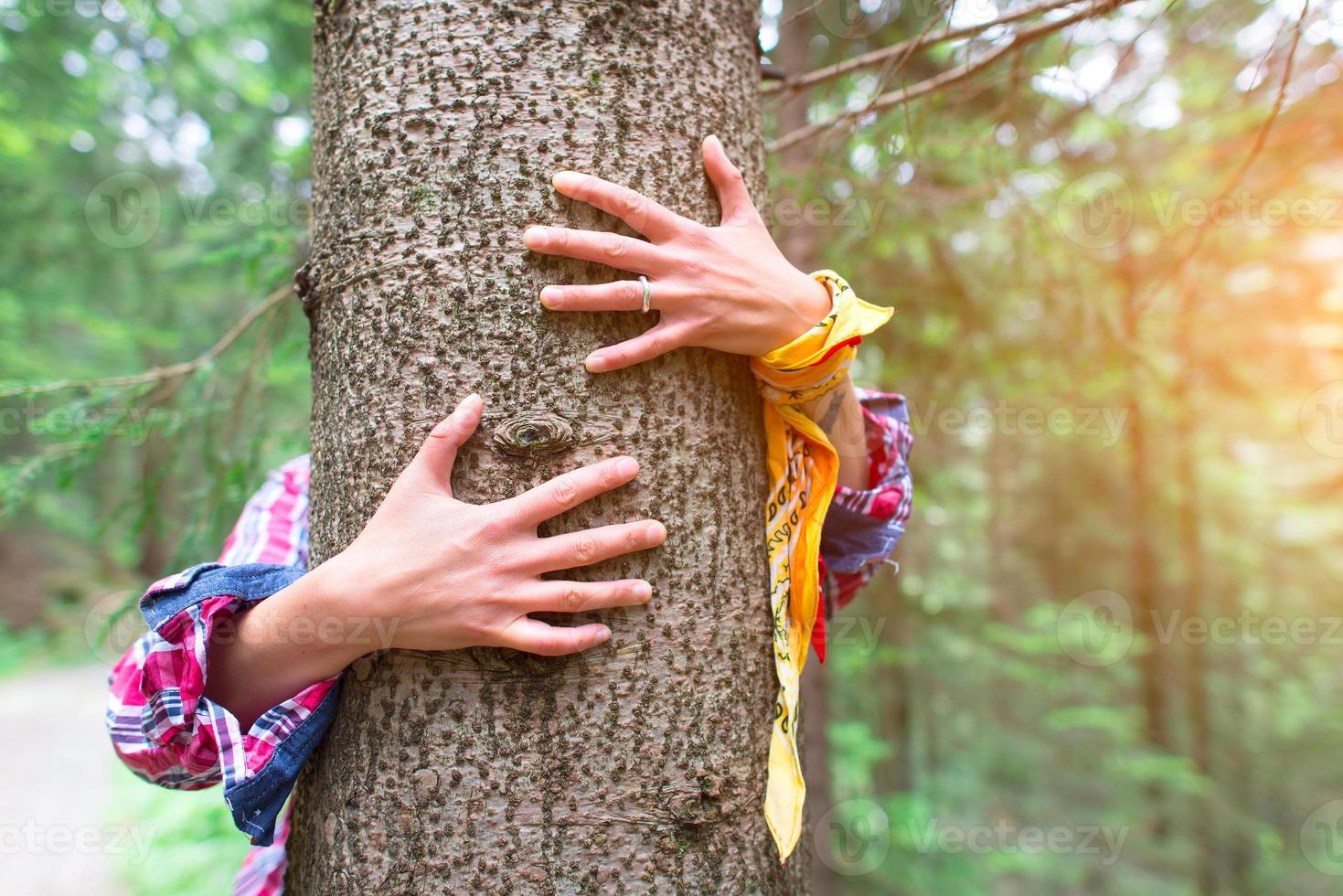 Tree hugging nature photo