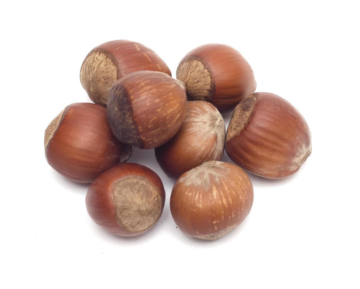 a bunch of hazelnuts isolated on a white background photo