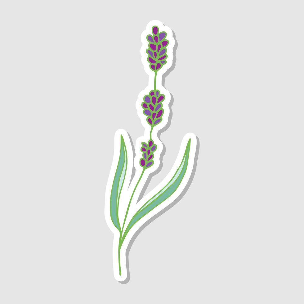 ilustración abstracta de lavanda. pegatinas con flores para el álbum. hermoso estilo floral stickers.doodle. dibujando flores brillantes. ilustración vectorial vector