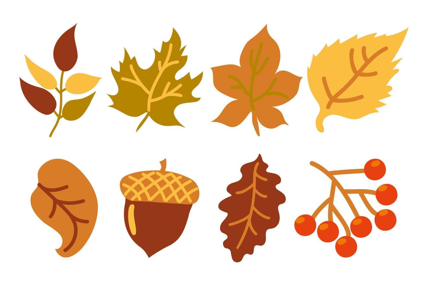 Set of autumn yellow and orange leaves, an acorn and a branch with red berries. Autumn leaves. Leaves of oak, maple, ash, birch, rowan and linden branches. Yellow, orange, red and green. Autumn. vector