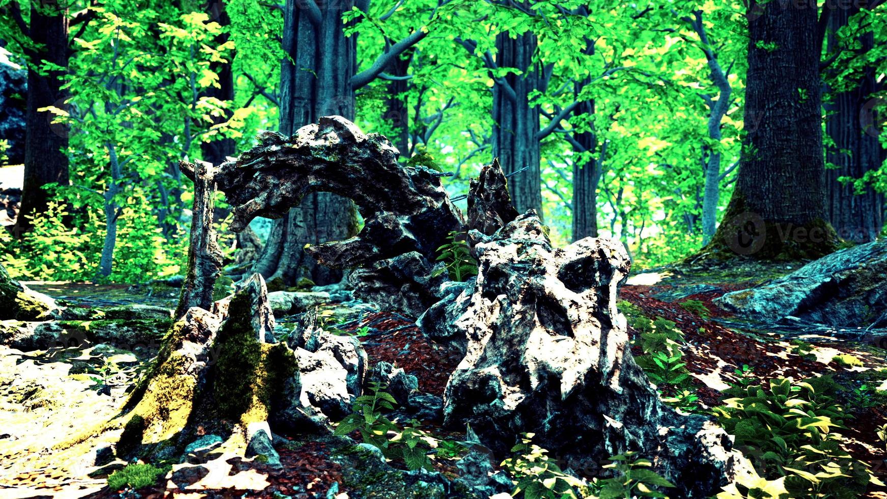 tronco y piedra cubiertos de musgo verde foto