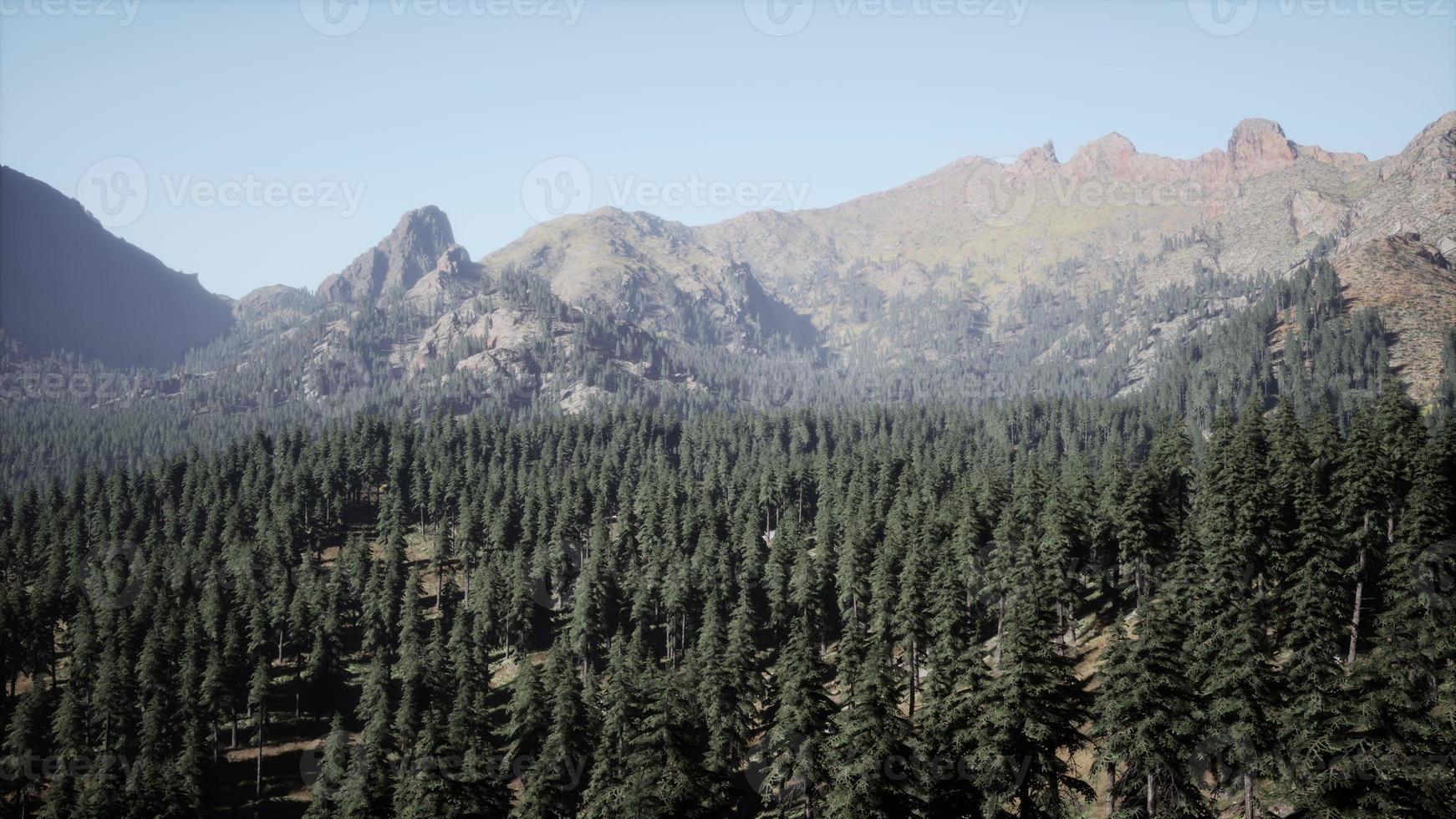 Amazing mountain views in northern Canada in summer time photo