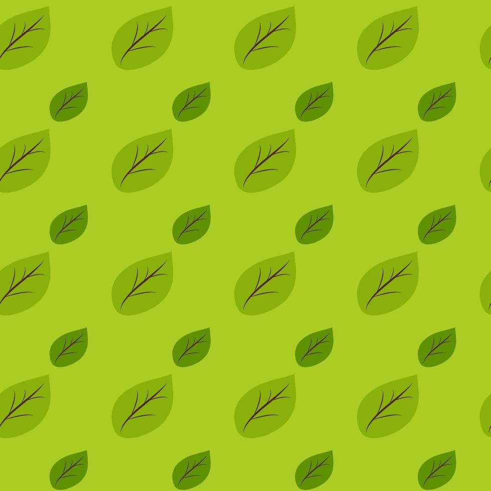 Many green Leaves pattern seamless background for your design. vector