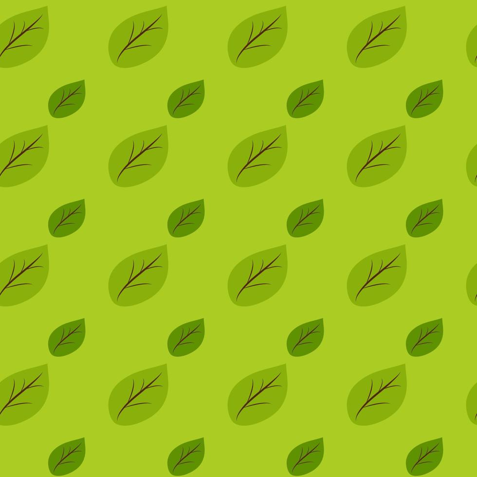 Many green Leaves pattern seamless background for your design. vector