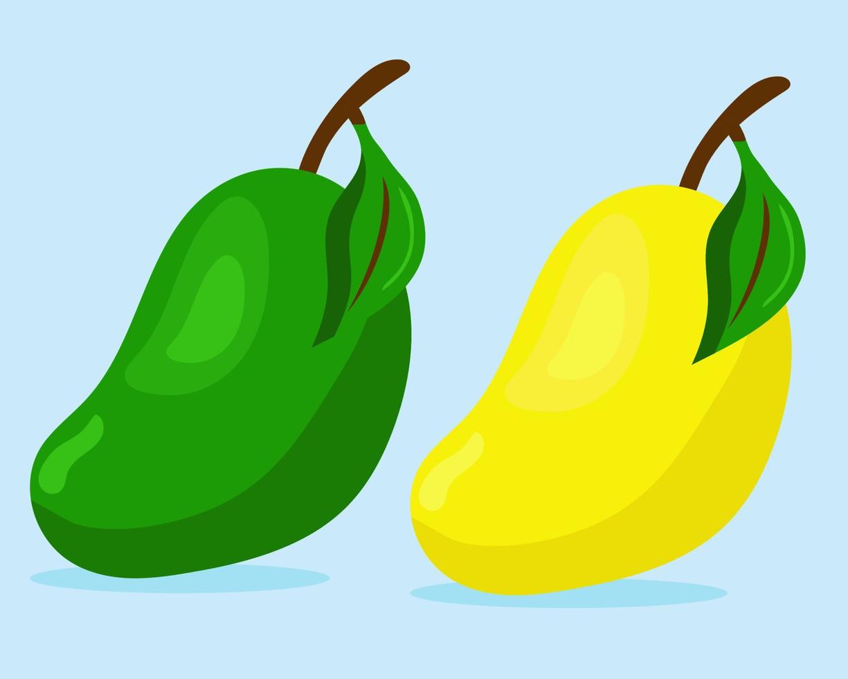 Two mangoes, green and yellow color in cartoon style vector. vector