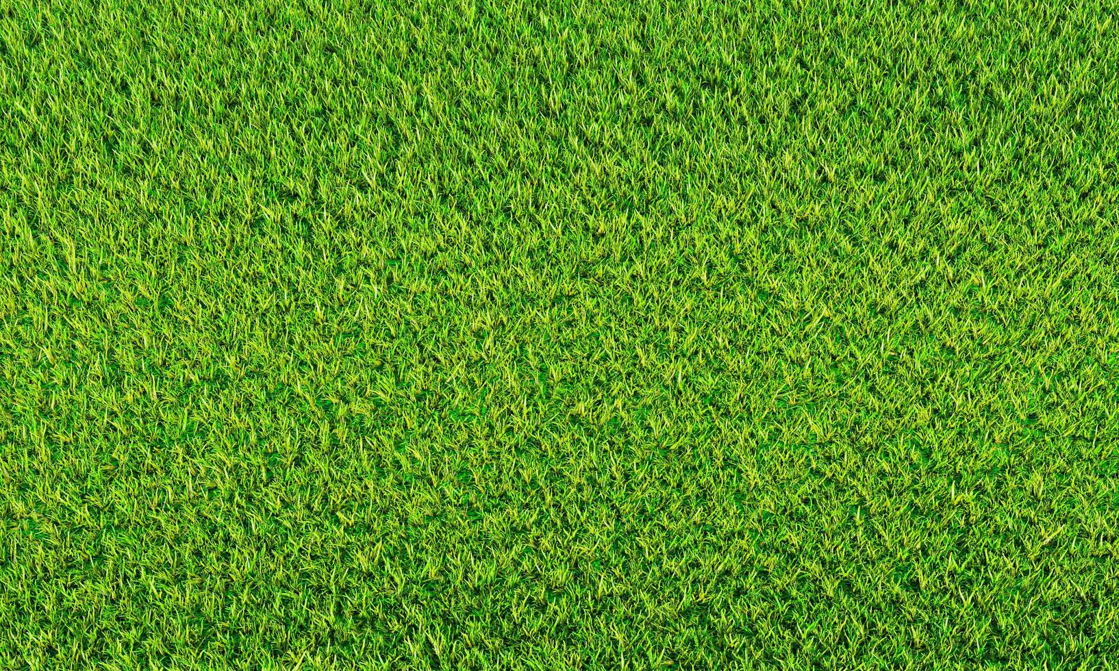 vista superior césped verde fresco para campos de fútbol y campos de golf. para usar para hacer un jardín de fondo o papel tapiz. hierba verde fresca para un parque infantil. representación 3d foto