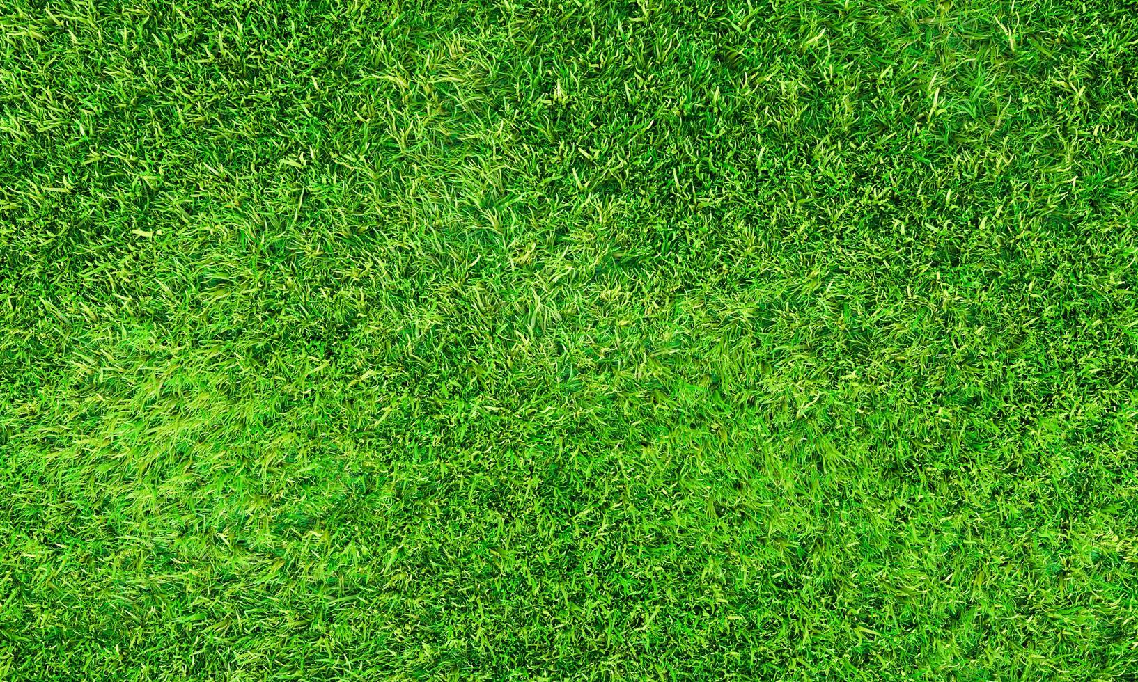 Top view Fresh green lawn For football and soccer fields or golf courses. For use to make background or wallpaper garden. Fresh green grass for a playground. 3D Rendering photo