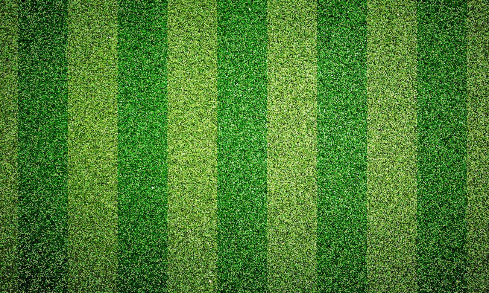 Green grass texture background, Green lawn, Backyard for wallpaper, Grass texture,  desktop picture, Park lawn texture. 3D software rendering. photo