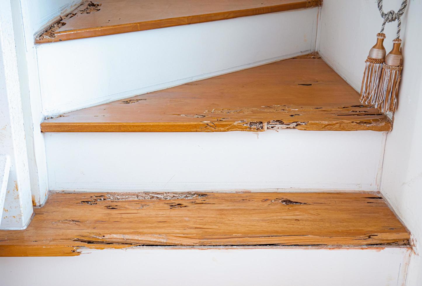 House stairs that were bitten by termites. The wood was broken because it was destroyed by termites. photo