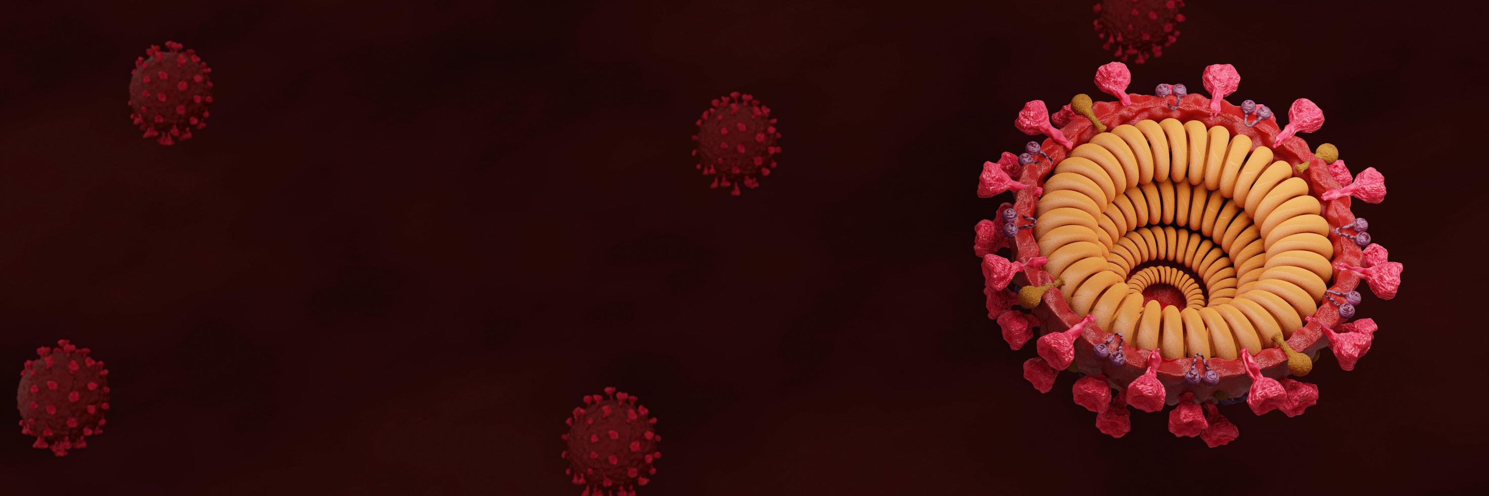 Cut in half and inside virus.  Pathogen respiratory influenza covid virus cells. New official name for Coronavirus disease named COVID-19. 3D Rendering. photo