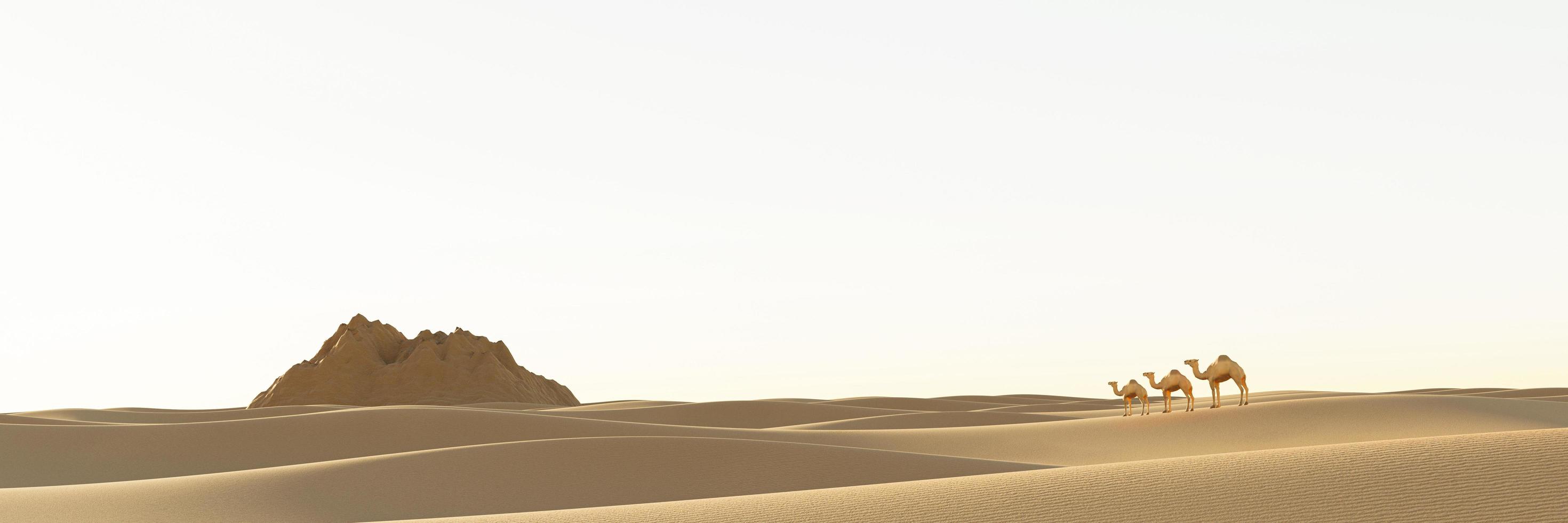 The waves of the vast desert nature. There are sandstone mountains and camels walking in the middle of the desert. The sun is hot in the desert during the day. 3D Rendering photo