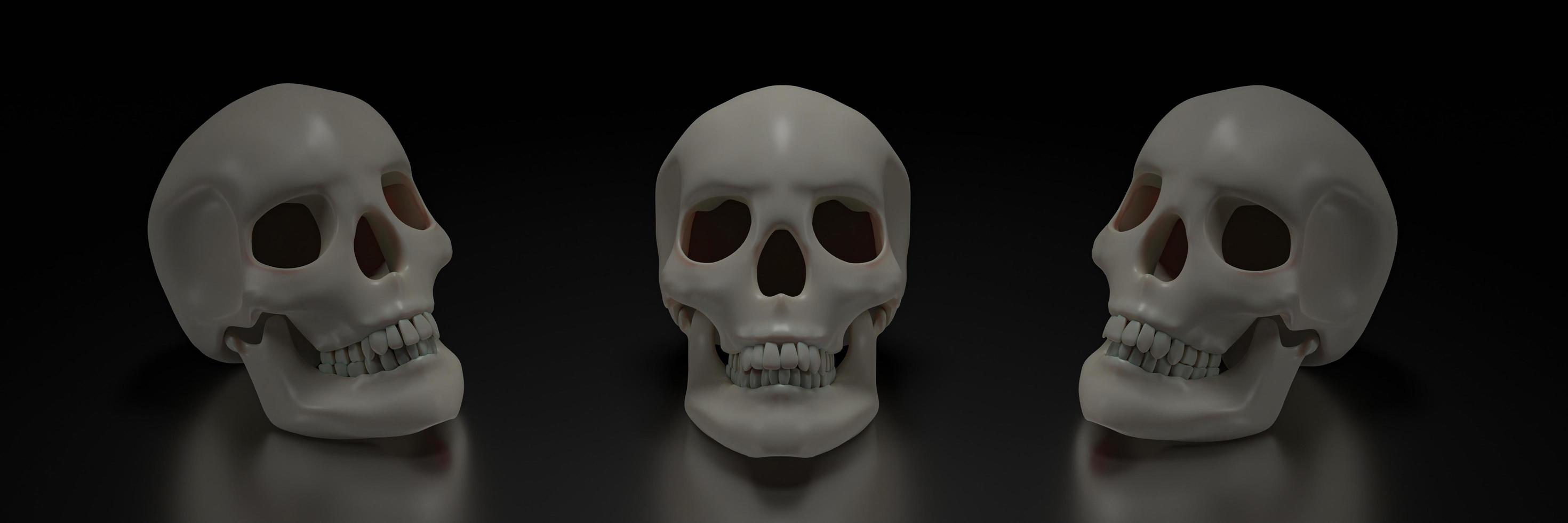 Human skull model, clean skull head, placed on a shiny surface, and a black background. 3D Rendering photo