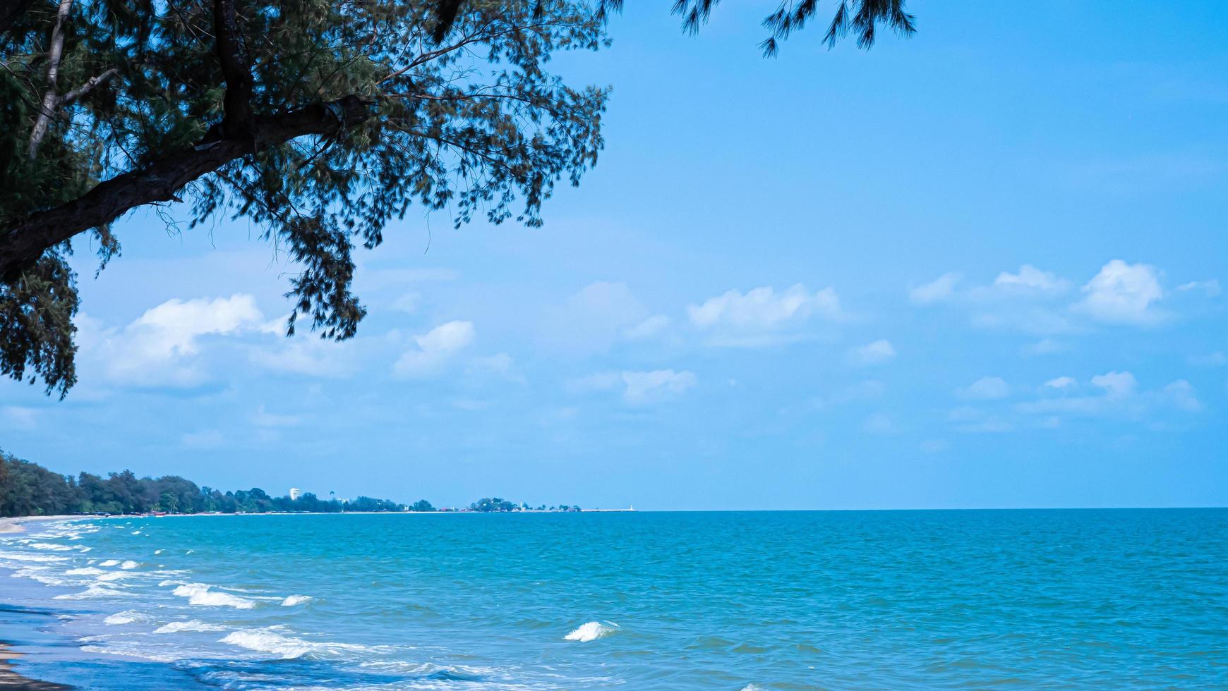 The sea and the beach with the waves Land in an arc There is a little foreground pine trees appearing in the foreground. Clear weather used for background or wallpaper. photo