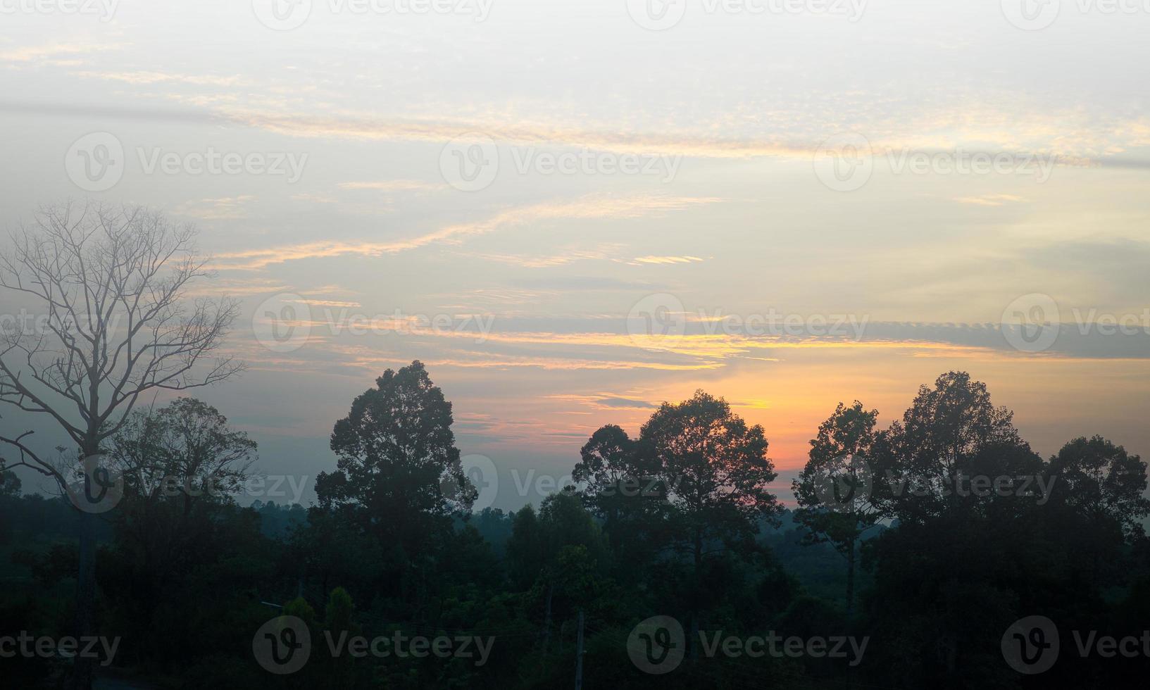 Sky and sun Blue and orange in the sky in summer. photo