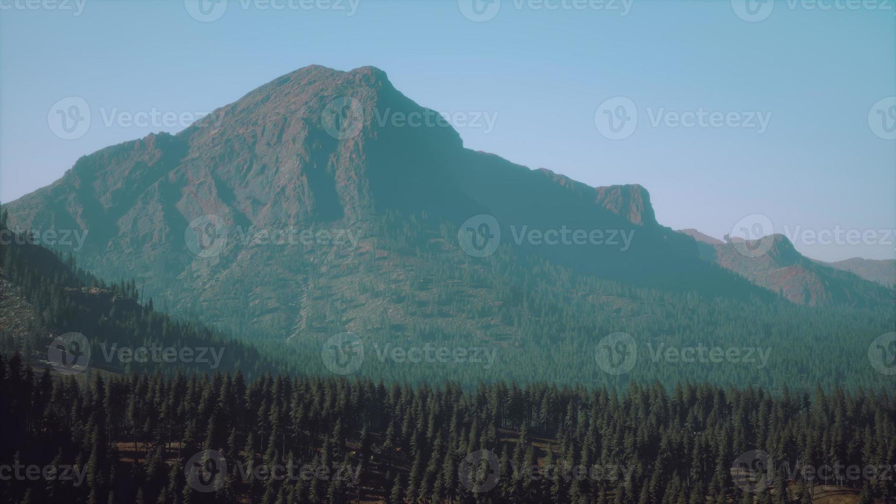 Beautiful sunset view in cedar forest in front of sayan mountain range photo