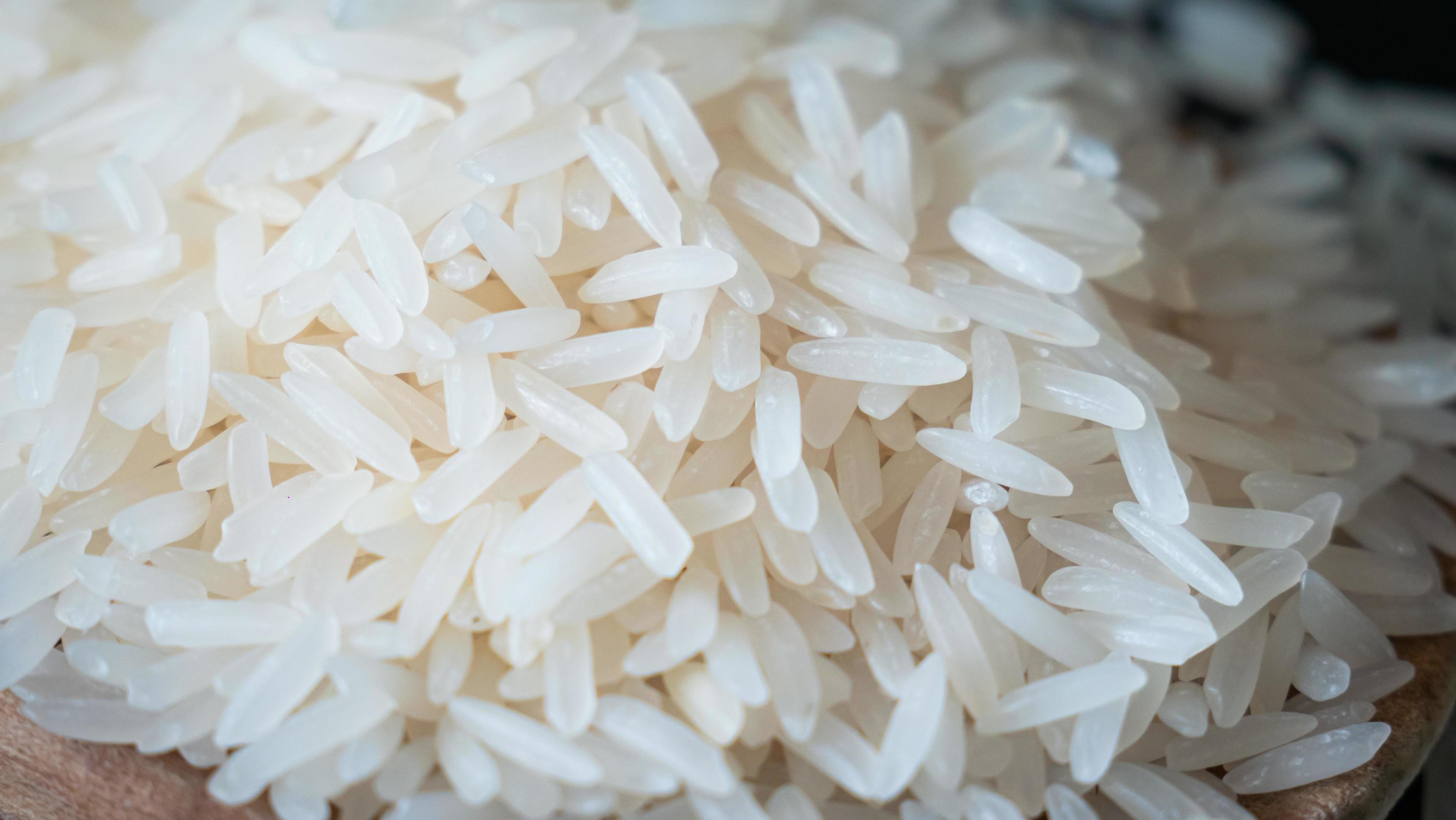 Jasmine rice, popular rice variety in Thailand. Rice grain that has